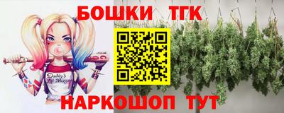 СК Шелехов