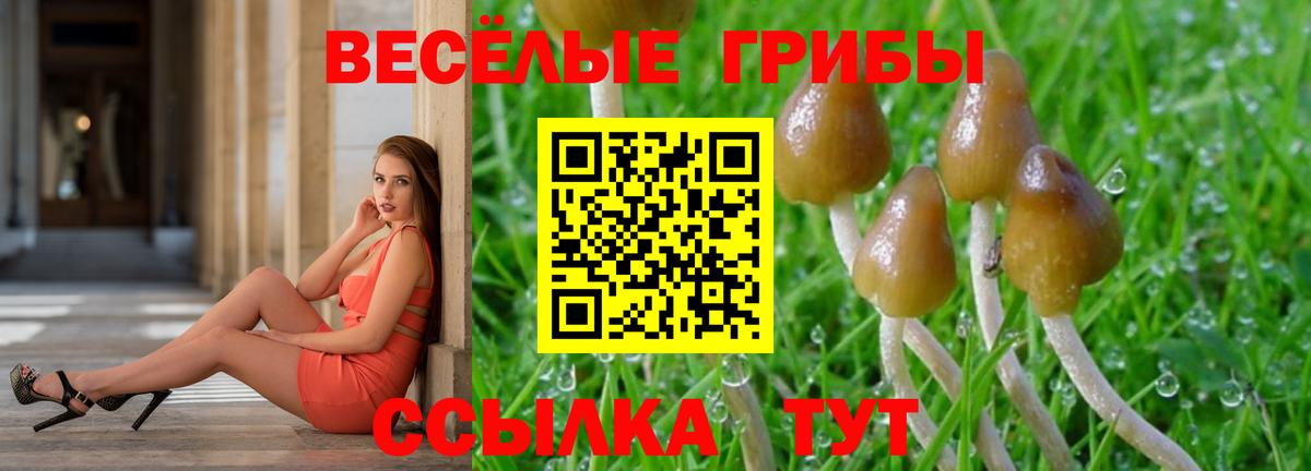 Галлюциногенные грибы Cubensis Кызыл